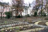 Brno | Nový plot kolem Botanické zahrady
